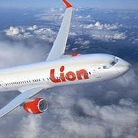 Lion Air тип личности MBTI image