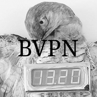 profile_BVPN (The Scout)