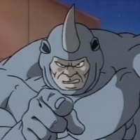 profile_Rhino