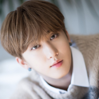 Seo Changbin (Stray Kids) نوع شخصية MBTI image