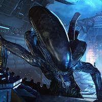 profile_Alien / Xenomorph