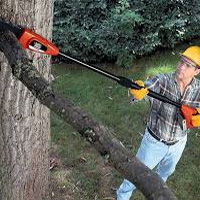 Tree Trimmer and Pruner type de personnalité MBTI image