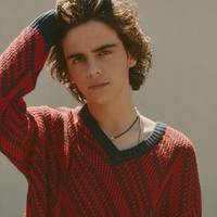 Jack Dylan Grazer type de personnalité MBTI image