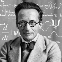 Erwin Schrödinger MBTI Personality Type image