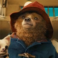 Paddington Bear tipo di personalità MBTI image