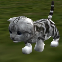 Cat MBTI Personality Type image