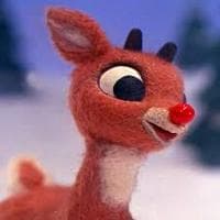 Rudolph тип личности MBTI image