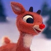 Rudolph MBTI Personality Type image