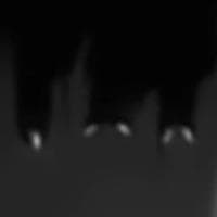 profile_The Parasite Eaters