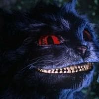 Cheshire Cat type de personnalité MBTI image
