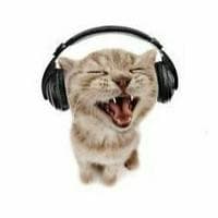 Listening to Music tipe kepribadian MBTI image