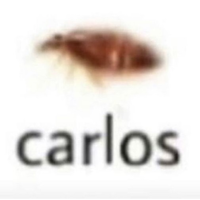 profile_Carlos