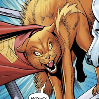 profile_Streaky the Supercat