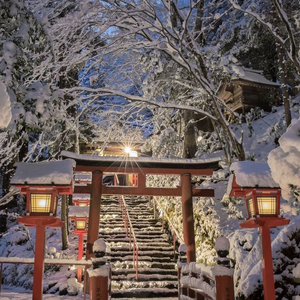 profile_Winter