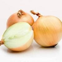 profile_Onion