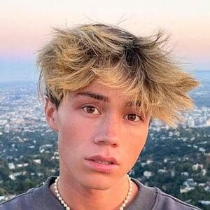 profile_Ashton Hero