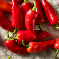 profile_Chili