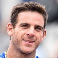 Juan Martín del Potro MBTI性格类型 image