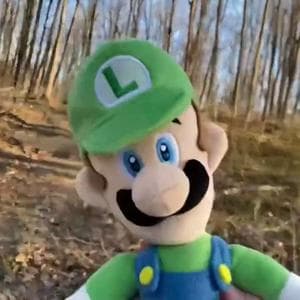 profile_Luigi