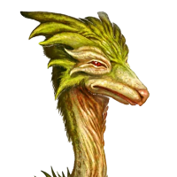 profile_Devlikk