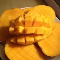 Mango MBTI性格类型 image