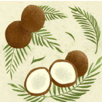 Coconut tipe kepribadian MBTI image