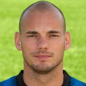 profile_Wesley Sneijder