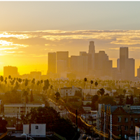profile_Los Santos (GTA 5)