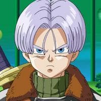 profile_Trunks (Futuro)