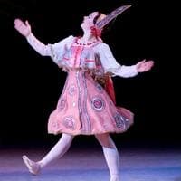 Russian Dancers tipo di personalità MBTI image