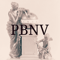 profile_PBNV (The Knight)