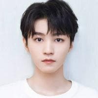 Karry Wang type de personnalité MBTI image