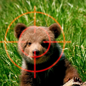 profile_Bear in the crosshairs (Медведь под прицелом)