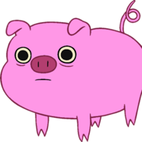 profile_Mr. Pig