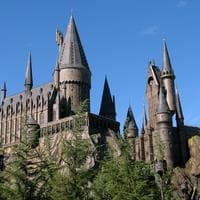 Harry Potter and the Forbidden Journey MBTI性格类型 image