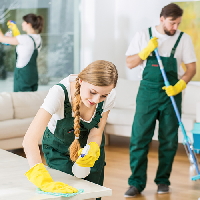 Maid / Housekeeping Cleaner typ osobowości MBTI image