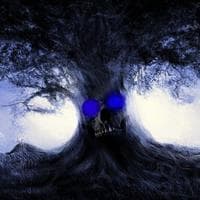 profile_Mortimer