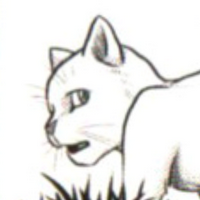profile_Alder