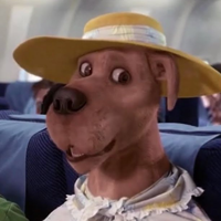 Scooby-Doo tipo de personalidade mbti image
