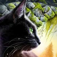 Hollyleaf type de personnalité MBTI image