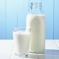 Milk MBTI性格类型 image