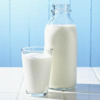 Milk tipe kepribadian MBTI image