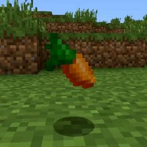 profile_Superimportante