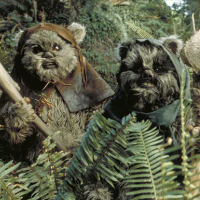 Ewok MBTI性格类型 image