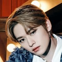 Lee Know (Stray Kids) type de personnalité MBTI image