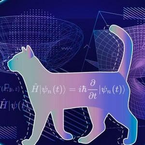 Schrödinger's cat MBTI性格类型 image