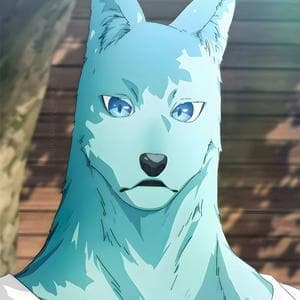 profile_Tsunagu Hidaka