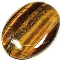 Tiger's Eye tipo di personalità MBTI image