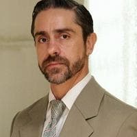 Nelson tipo de personalidade mbti image