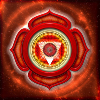 Root Chakra : Muladhara type de personnalité MBTI image